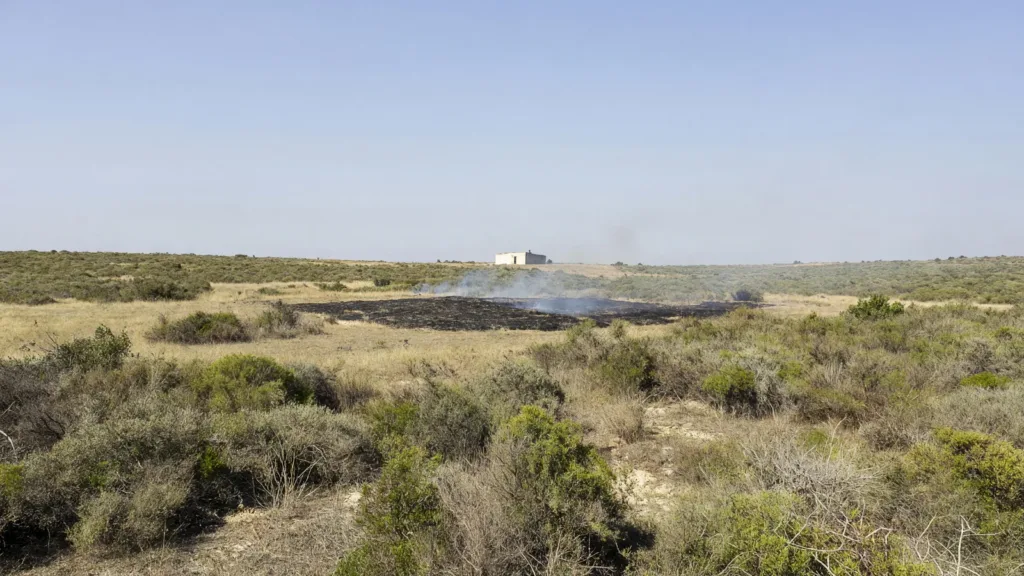 Feu de 1 000 m² à Saint-Brès : 14 pompiers mobilisés près d’un stand de tir