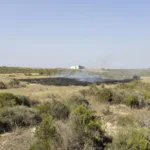 Feu de 1 000 m² à Saint-Brès : 14 pompiers mobilisés près d’un stand de tir
