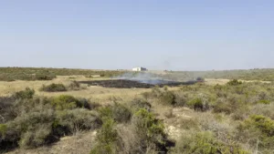 Feu de 1 000 m² à Saint-Brès : 14 pompiers mobilisés près d’un stand de tir