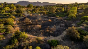 Feu de broussailles à Ginasservis : 30 pompiers mobilisés sur 2 000 m² (Var)