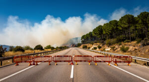 Feu de végétation à La Ciotat : 2 hectares touchés dans la zone Athélia, près de l&rsquo;A50