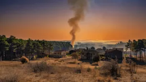 Feu de végétation à Saint-Médard-en-Jalles : rapidement maîtrisé malgré la canicule