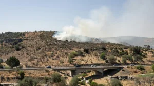 Feu de végétation à Savasse (Drôme) : 1 000 m² brûlés près de l&rsquo;A7