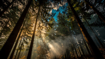 Feux de forêt : exercice grandeur nature samedi au massif des Trois-Châteaux
