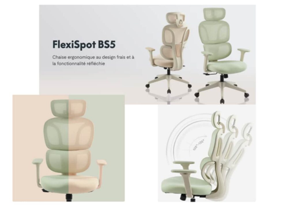 FlexiSpot BS5