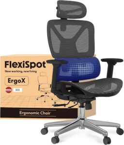 FlexiSpot ErgoX Lite