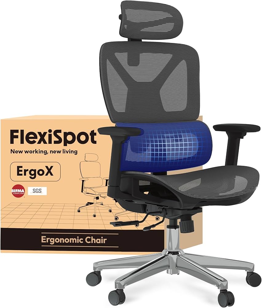FlexiSpot ErgoX Lite