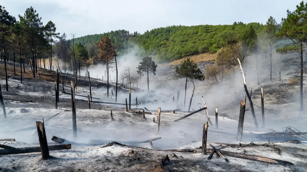 Gard : 1,5 hectare brûlé dans un incendie nocturne maîtrisé à Servas