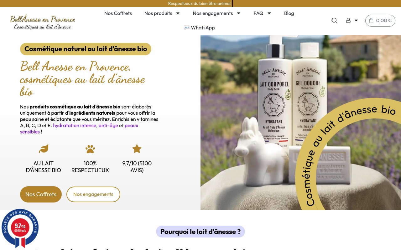 Apercu du site Bell’ Anesse en Provence