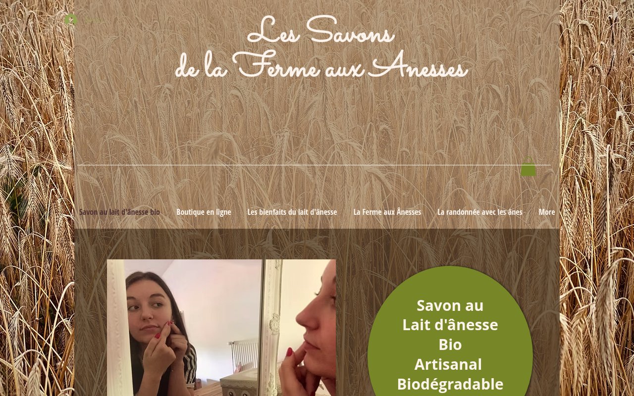 Apercu du site La Ferme aux Ânesses
