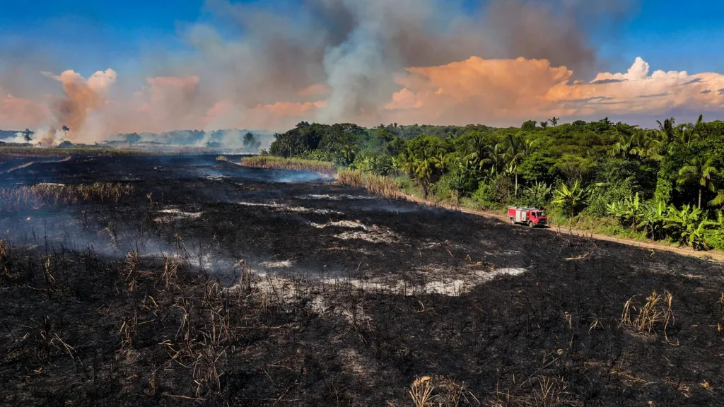 Guadeloupe : 5 maisons détruites, 24 hectares brûlés, les pompiers débordés