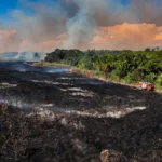 Guadeloupe : 5 maisons détruites, 24 hectares brûlés, les pompiers débordés