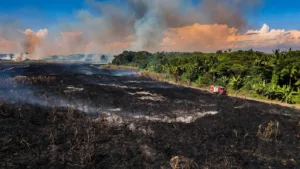 Guadeloupe : 5 maisons détruites, 24 hectares brûlés, les pompiers débordés