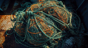 Guyane : 19 tonnes de poissons et 25 km de filets saisis lors d&rsquo;une opération contre la pêche illégale