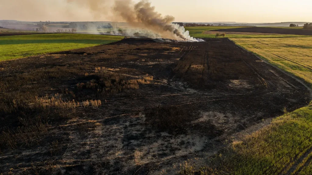 Haute-Saône : 13 hectares d'orge détruits par un incendie à Champlitte, premier grand feu de l'été 2026
