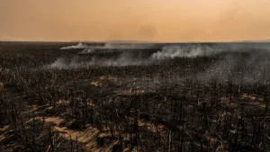Haute-Saône : nouveau feu de cultures à Dampierre-sur-Salon en pleine alerte canicule