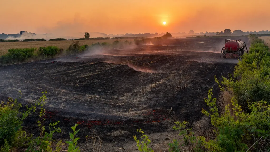 Haute-Vienne : nouveaux feux de récolte sous la canicule, les agriculteurs mobilisés aux côtés des pompiers