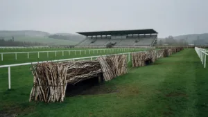 Hippisme : Bubble Pretty s&rsquo;impose dans le Grand Steeple-Chase de Dieppe après son sacre lyonnais