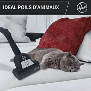 HP320PET