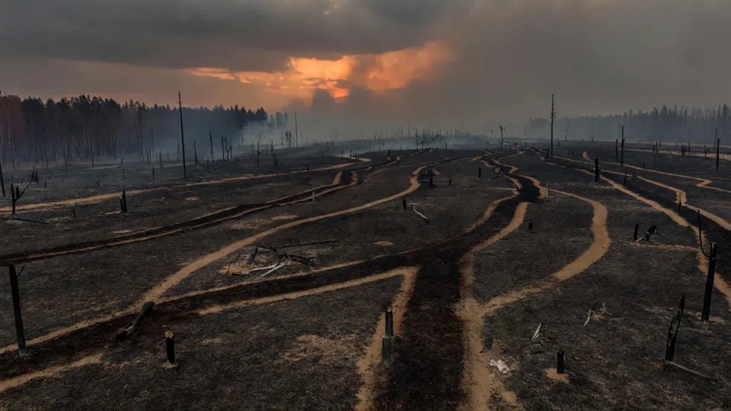 Huisseau-sur-Mauves : 46 hectares brûlés dans un incendie déclenché par une ligne électrique