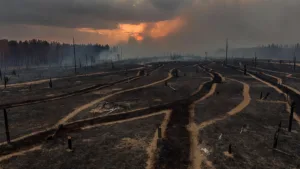 Huisseau-sur-Mauves : 46 hectares brûlés dans un incendie déclenché par une ligne électrique