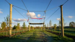 Inauguration officielle du parc Saint-Sauveur à Lille : 4,8 hectares de nature, jeux et biodiversité ouverts au public