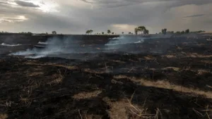Incendie à Estivareilles : 5 hectares d&rsquo;herbes sèches brûlés, maîtrise rapide des pompiers