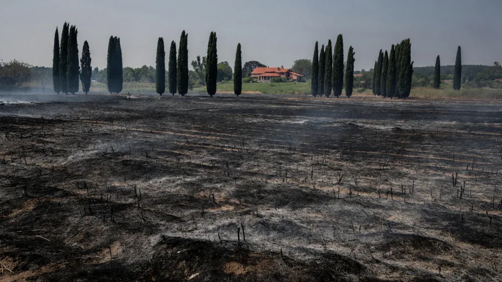 Incendie à la limite Aude-Ariège : 20 hectares détruits à Belpech, quatre habitations préservées