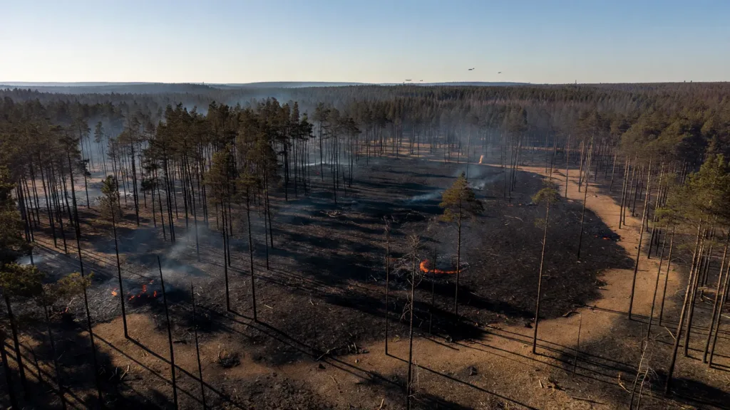 Incendie à Ménétréol-sur-Sauldre : 30 hectares ravagés, le feu sous haute surveillance