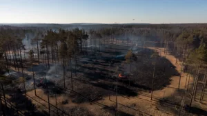 Incendie à Ménétréol-sur-Sauldre : 30 hectares ravagés, le feu sous haute surveillance