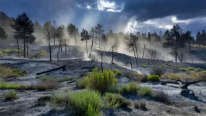 Incendie à Nant près de Millau : le feu sous contrôle après trois jours de lutte
