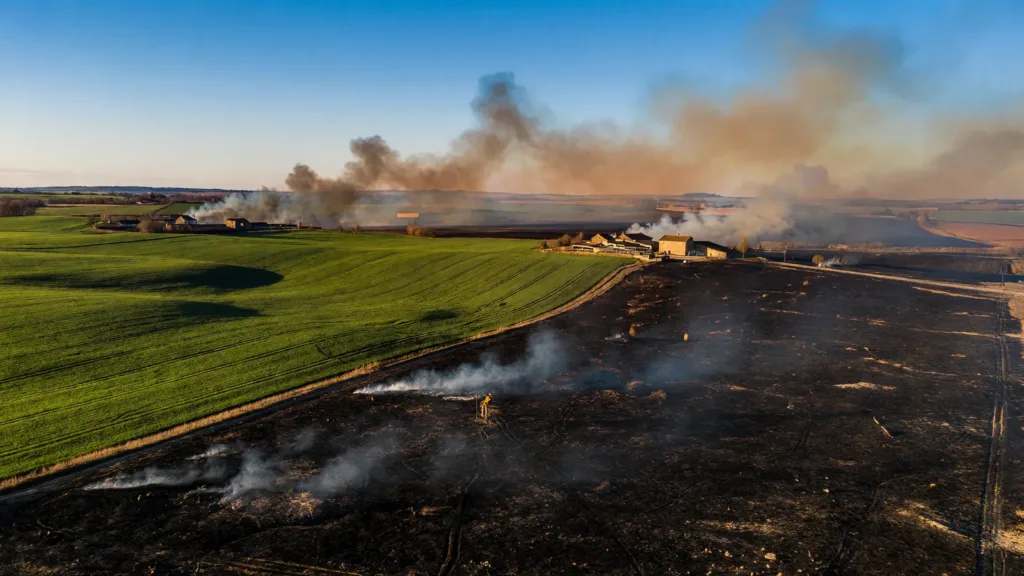 Incendie à Poncins : 70 hectares détruits, habitations et haras sauvés de justesse