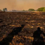 Incendie à Touchay : plus de 25 hectares de cultures ravagés, 44 évacués sous canicule