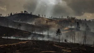 Incendie à Villeneuve-d&rsquo;Allier : le feu fixé à 109 hectares après deux jours de lutte