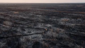 Incendie agricole de 8 ha à Aubiet (Gers) : 22 pompiers mobilisés sous la canicule