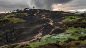 Incendie au Ménez-Hom : la piste d&rsquo;une origine humaine privilégiée