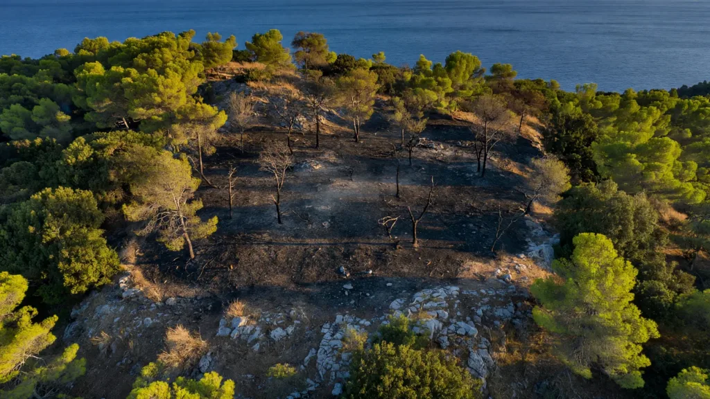 Incendie aux portes des Calanques à Marseilleveyre : le feu maîtrisé après avoir brûlé 4 000 m²