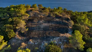 Incendie aux portes des Calanques à Marseilleveyre : le feu maîtrisé après avoir brûlé 4 000 m²