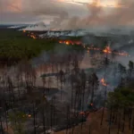 Incendie dans les Landes de Gascogne : près de 90 hectares brûlés, des déviations routières mises en place