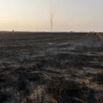 Incendie de moisson maîtrisé à Poulaines : 42 pompiers mobilisés