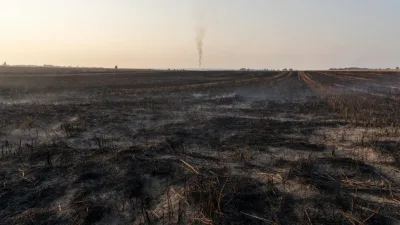 Incendie de moisson maîtrisé à Poulaines : 42 pompiers mobilisés