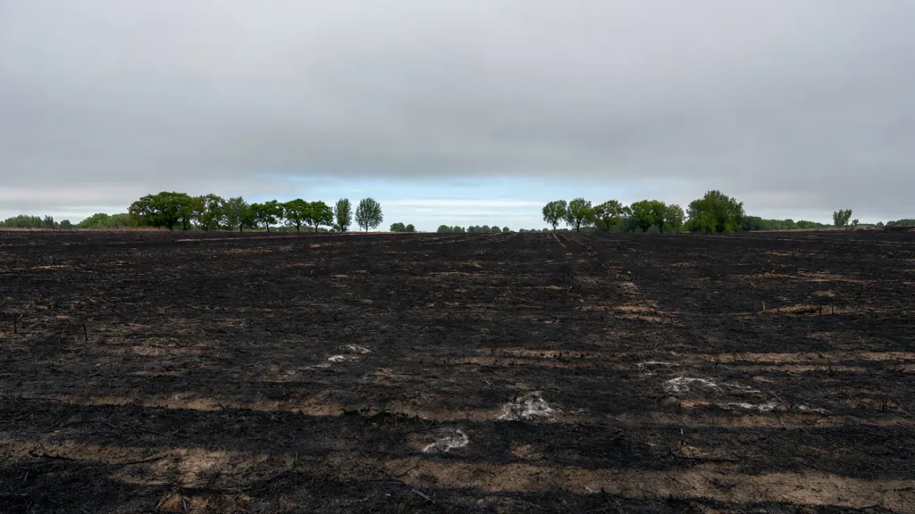 Incendie de Touchay : 28 hectares détruits, quatre pompiers blessés, le bilan définitif