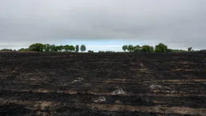 Incendie de Touchay : 28 hectares détruits, quatre pompiers blessés, le bilan définitif