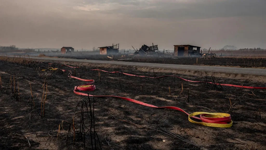 Incendie de végétation à Chazay-d'Azergues : 3 hectares brûlés, 55 pompiers mobilisés