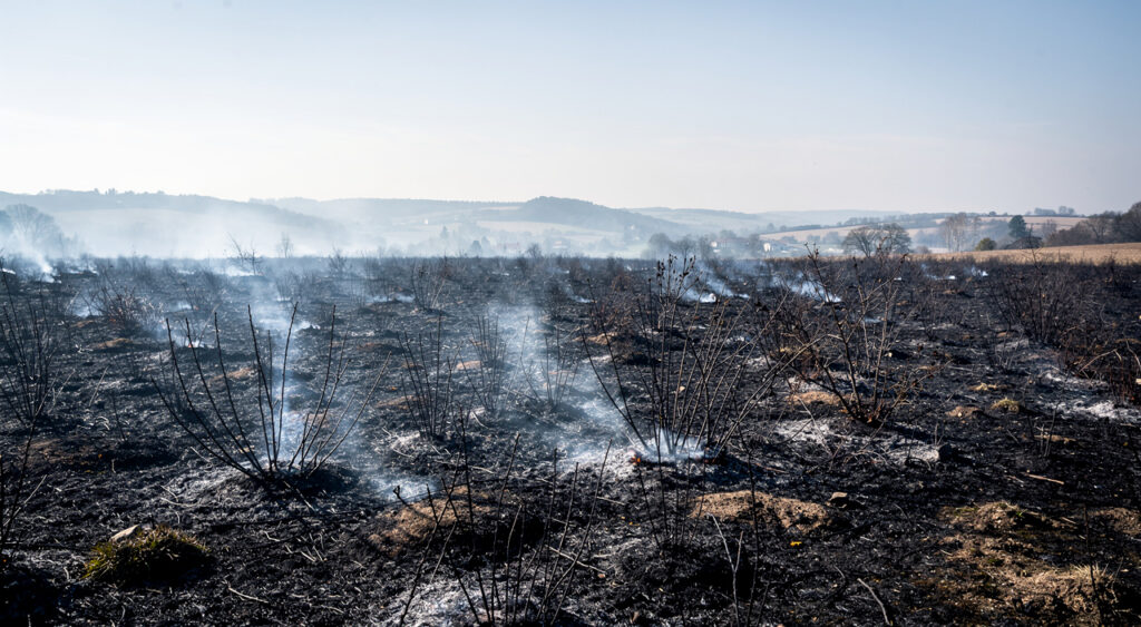 Incendie de végétation à Commelle-Vernay : 40 pompiers mobilisés, 3 hectares ravagés