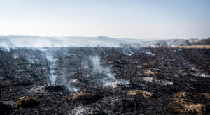 Incendie de végétation à Commelle-Vernay : 40 pompiers mobilisés, 3 hectares ravagés
