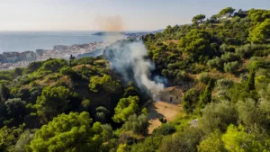 Incendie de végétation maîtrisé à Cannes : 78 pompiers et hélicoptère mobilisés