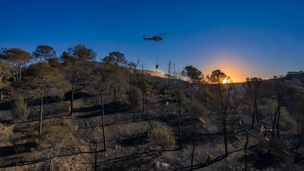 Incendie de végétation maîtrisé à Flayosc : 7 hectares brûlés, 53 pompiers mobilisés