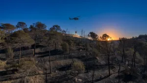 Incendie de végétation maîtrisé à Flayosc : 7 hectares brûlés, 53 pompiers mobilisés