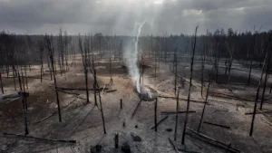 Incendie près de Saumur : l&rsquo;élan de solidarité des habitants pour ravitailler les pompiers